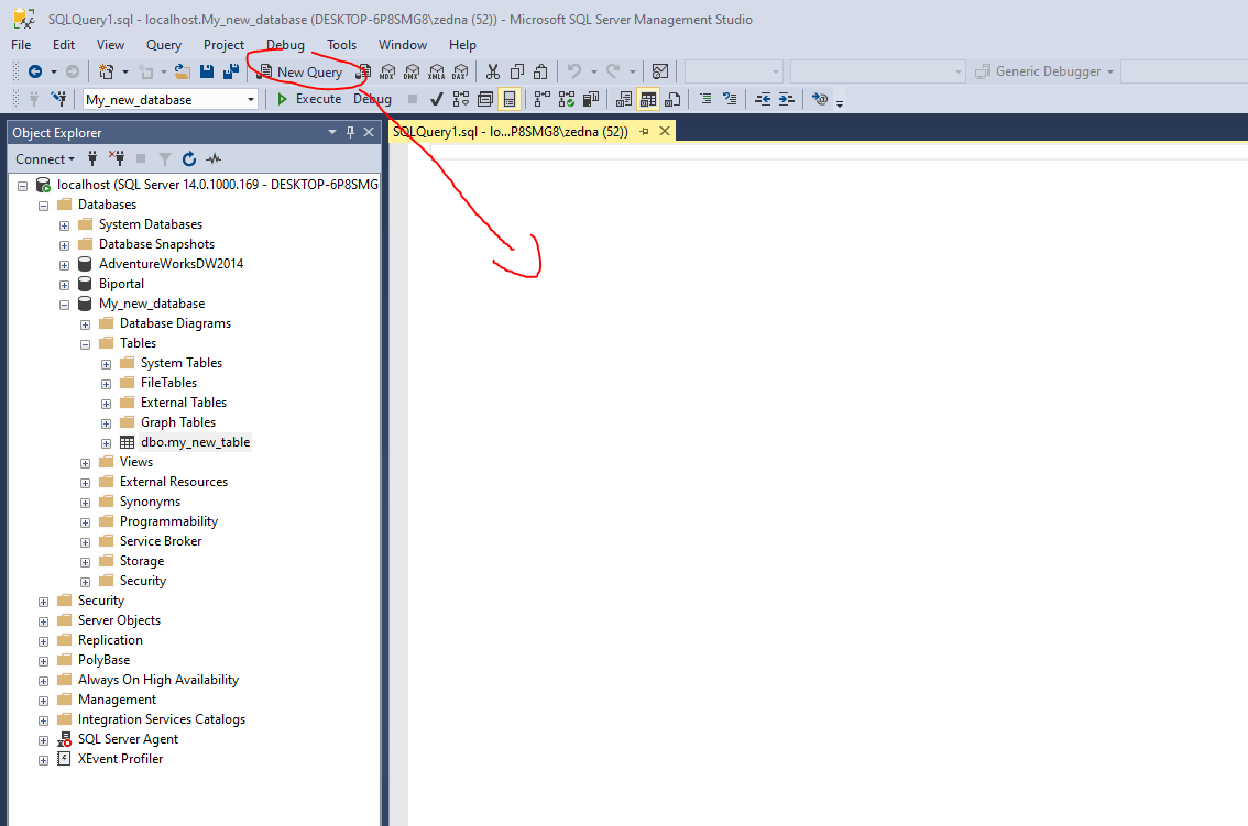 ssms query into table